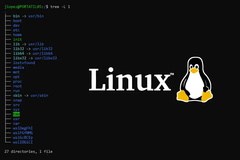 一文带你解锁Linux命令行的神秘世界